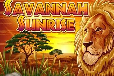 Savannah Sonnenaufgang
