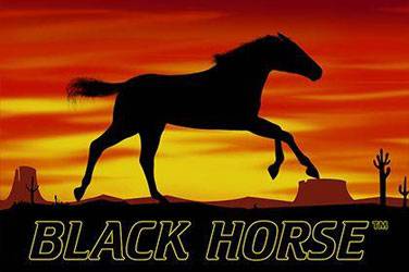 Schwarzes Pferd