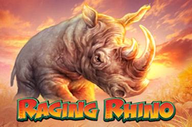 Rhinocéros enragé