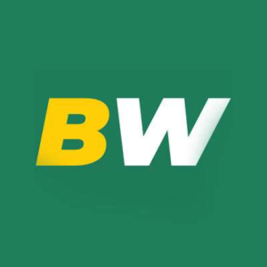BetWinner Casino