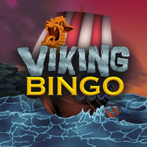 Viking Bingo Casino